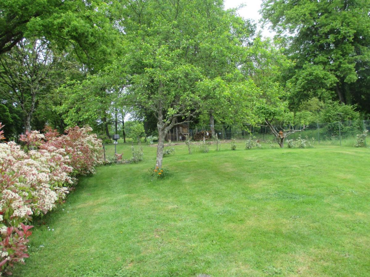 Saint-Amand-en-Puisaye La Griotterieヴィラ エクステリア 写真